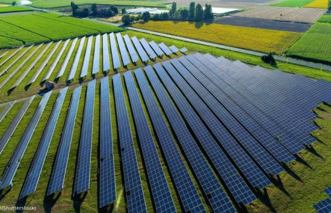 تصاعُد أعداد حاملي شهادة البكالوريوس في علوم البيئة في أميركا