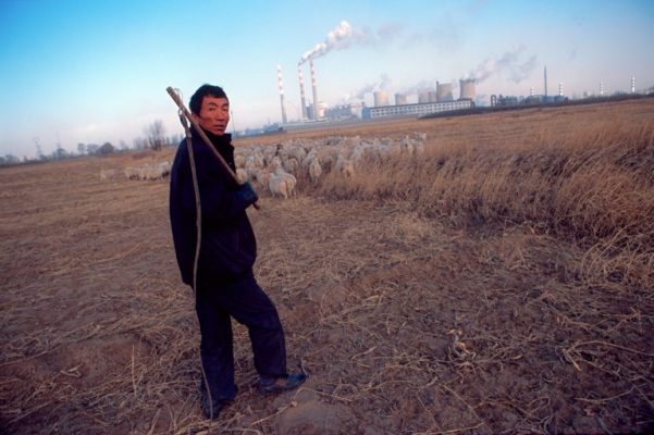 راعٍ بالقرب من محطة لتوليد الطاقة من الفحم في باوتو، منغوليا الداخلية، حيث تتعارض أساليب الحياة الصناعية والرعوية