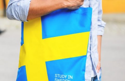الدراسة في السويد