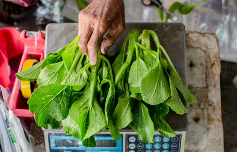 الصندوق الدولي للتنمية الزراعية