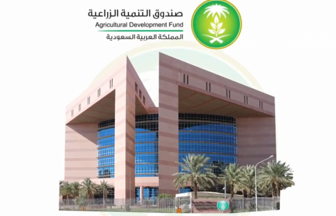 صورة مبنى صندوق التنمية الزراعية