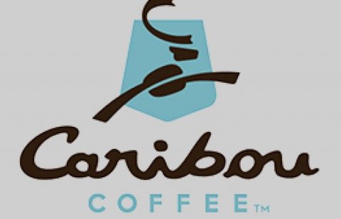 كاريبو كوفي السعودية