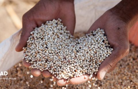 الصندوق الدولي للتنمية الزراعية