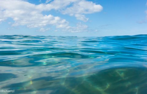 ماذا تعرف عن المياه الدولية؟