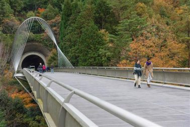 الخريف في اليابان الطعام والفنون والجمال