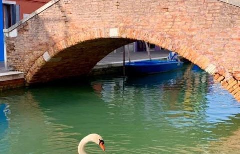 مدينة البندقية