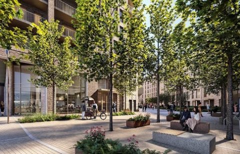 مشروع ذا فيردين