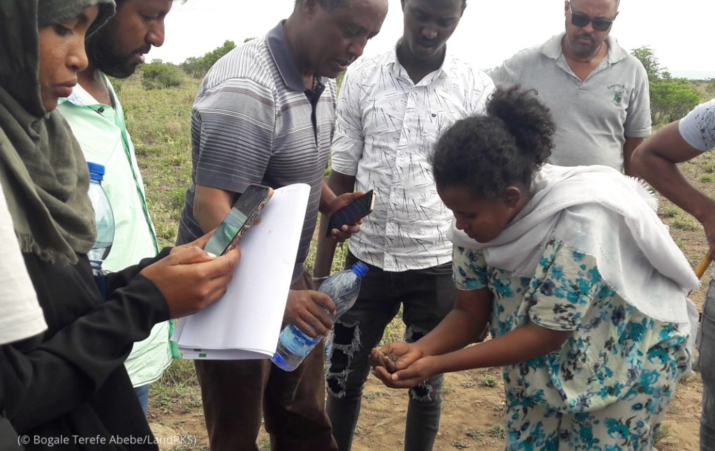 مشكلة التصحّر