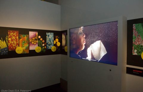 معرض عن الأوبئة متاح عبر الإنترنت