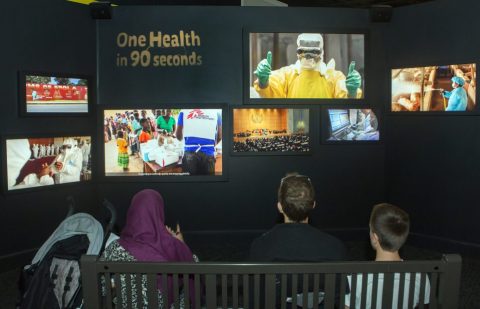 معرض “الأمراض المتفشية.. الأوبئة في عالم مترابط”