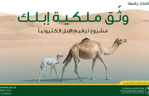 وزارة البيئة والمياه والزراعة