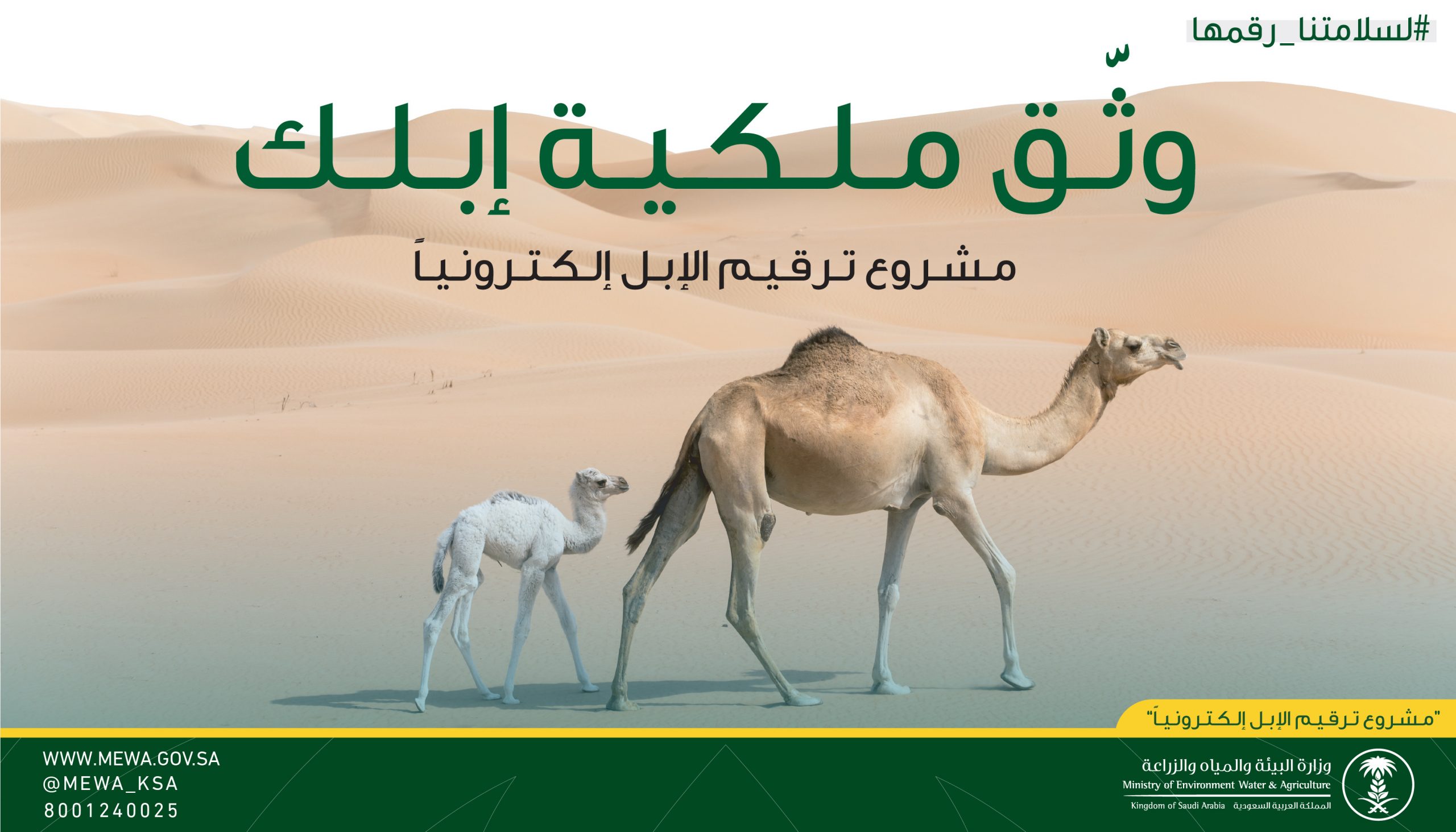 وزارة البيئة والمياه والزراعة