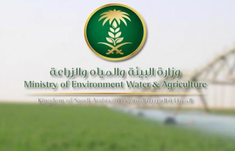 وزارة البيئة والمياه والزراعة