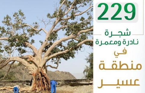 وزارة البيئة والمياه والزراعة